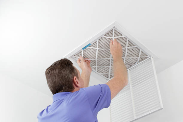 Best Local Air Duct Cleaning Services  in Pine Crest, TN